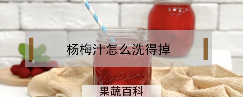 杨梅汁怎么洗得掉