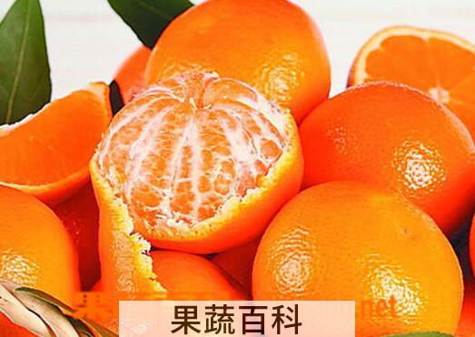 果蔬百科芦柑的营养价值