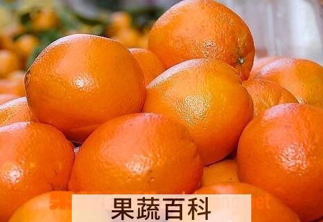 果蔬百科芦柑的禁忌与注意事项
