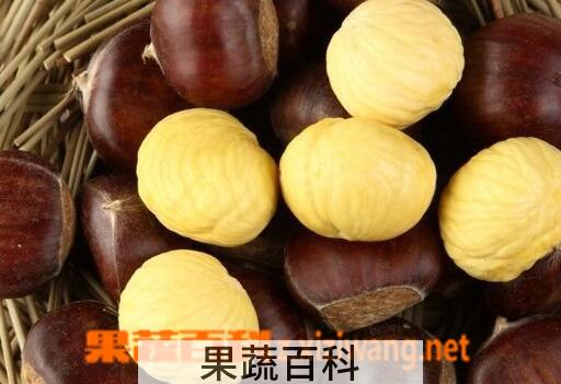 果蔬百科挑选栗子的小窍门