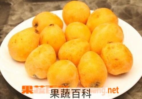 果蔬百科枇杷的食用方法与注意事项
