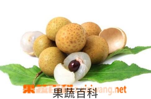 果蔬百科秋天能吃龙眼吗