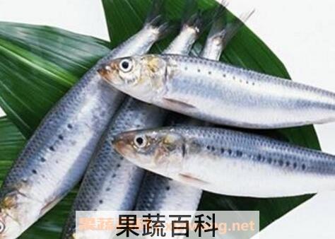 吃马鲛鱼的副作用 怎么挑选马鲛鱼