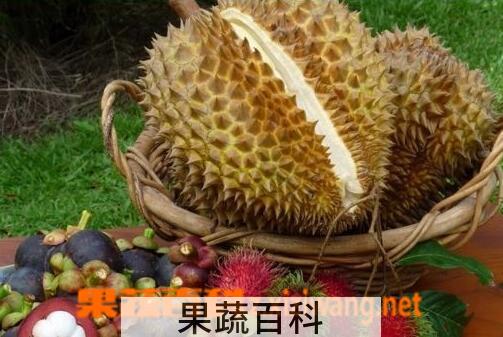 果蔬百科小孩能吃榴莲吗