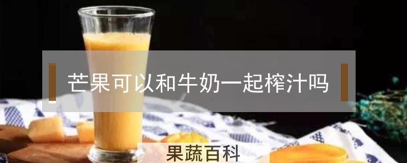 芒果可以和牛奶一起榨汁吗