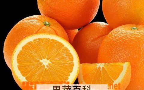 橙子不可以跟什么一起吃 橙子有什么营养