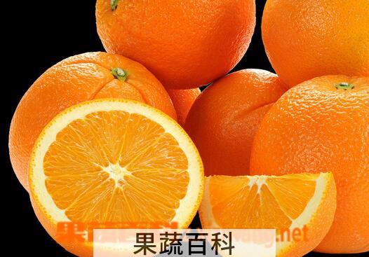 果蔬百科橙子不能和什么一起吃