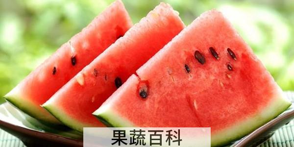 美都西瓜和8424西瓜的区别
