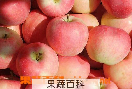 果蔬百科冬天吃哪些水果补水