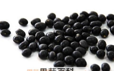 醋泡黑豆的作用是什么 醋泡黑豆的正确做法及能治疗白发