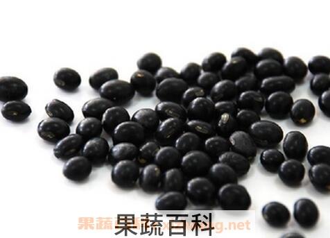 醋泡黑豆的功效与作用 醋泡黑豆真的能治疗白发吗