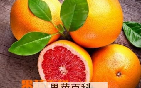 橙子能预防癌症吗 常吃橙子的功效与作用 橙子能预防癌症吗 常吃橙子的功效与作用是什么
