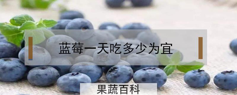 蓝莓一天吃多少为宜