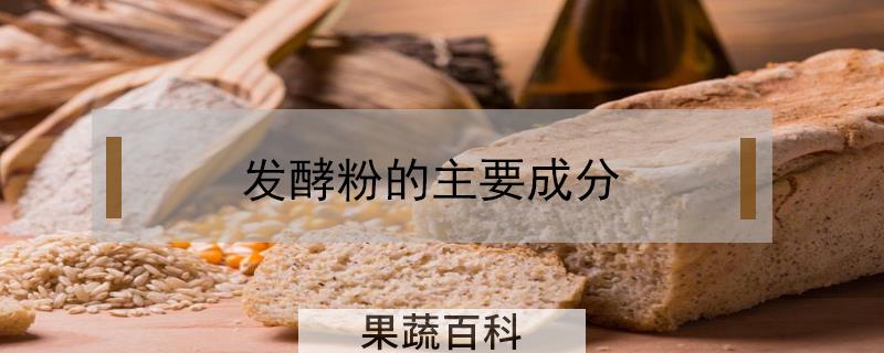 发酵粉的主要成分