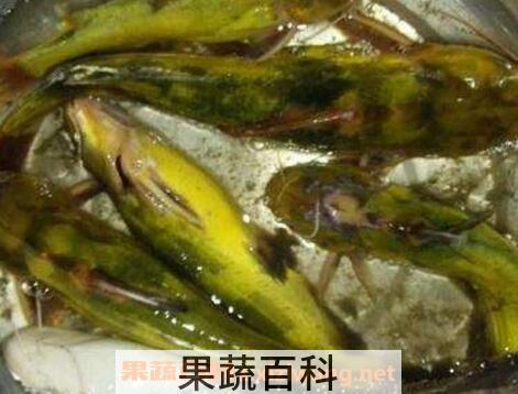 黄鸭鱼和什么相克