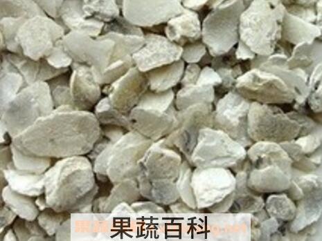 牡蛎生用和煅用的区别