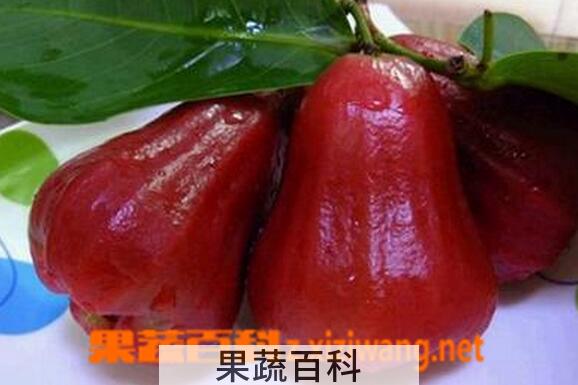 果蔬百科吃莲雾的好处与坏处