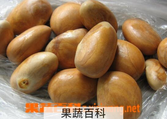 果蔬百科菠萝蜜核的营养价值与吃法