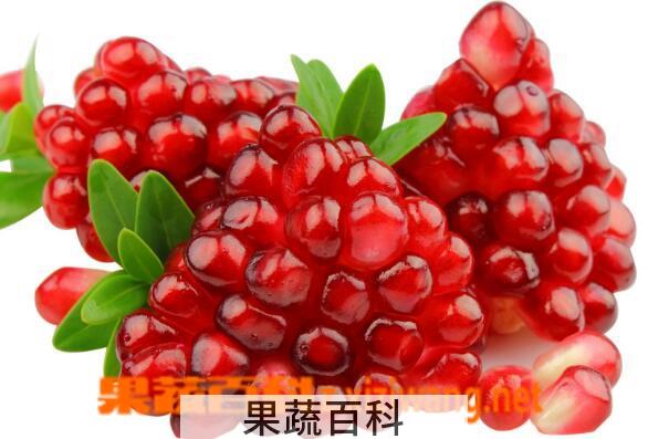 果蔬百科红石榴的功效与作用