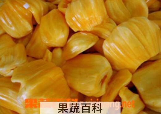 果蔬百科菠萝蜜的营养价值