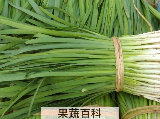 韭菜与什么食物相生相克