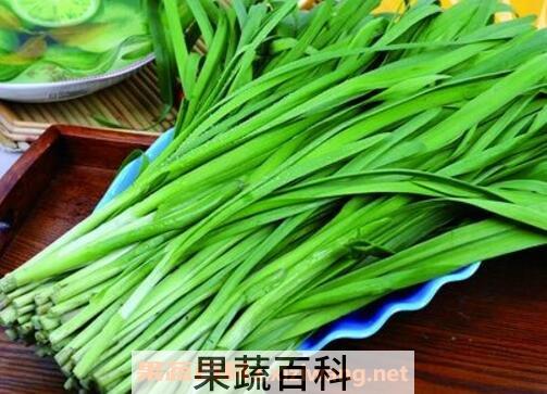 韭菜与什么食物相生相克