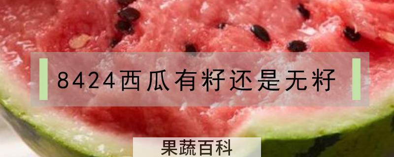 8424西瓜有籽还是无籽