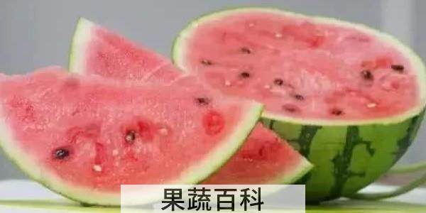 8424西瓜有籽还是无籽