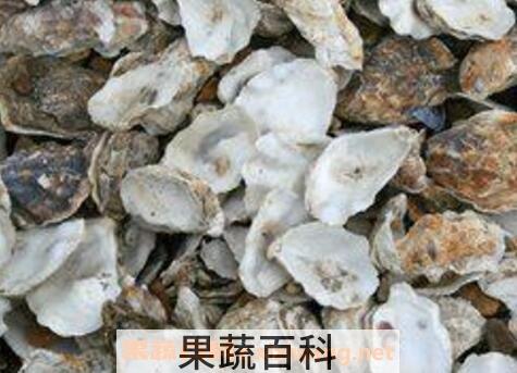 海蛎壳的药用价值