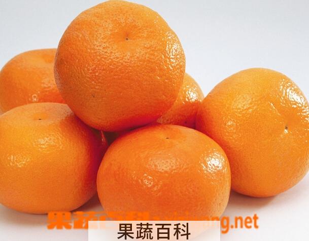 果蔬百科桔子的功效与作用
