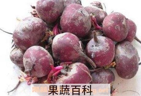 紫萝卜吃了有什么好处