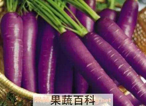 紫萝卜吃了有什么好处