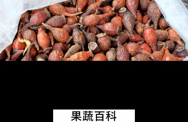 果蔬百科金樱子的药用价值与功效