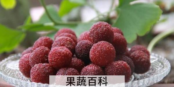 杨梅可以吃吗