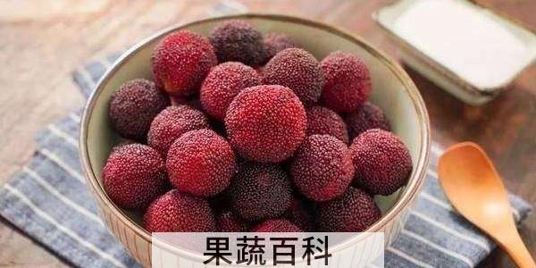 杨梅直接吃吗