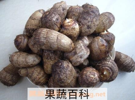 山芋头的药用价值和功效