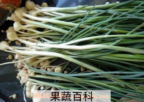 小蒜和洋葱煮水的功效