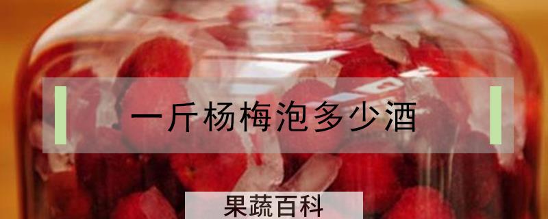 一斤杨梅泡多少酒