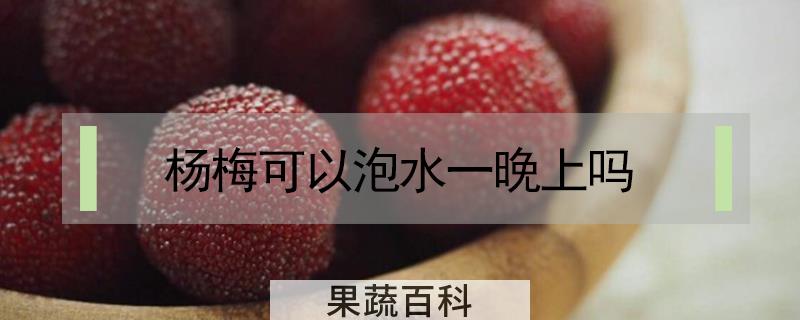 杨梅可以泡水一晚上吗