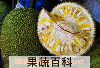 果蔬百科菠萝蜜核的吃法