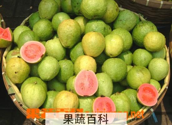 果蔬百科吃番石榴的好处和坏处