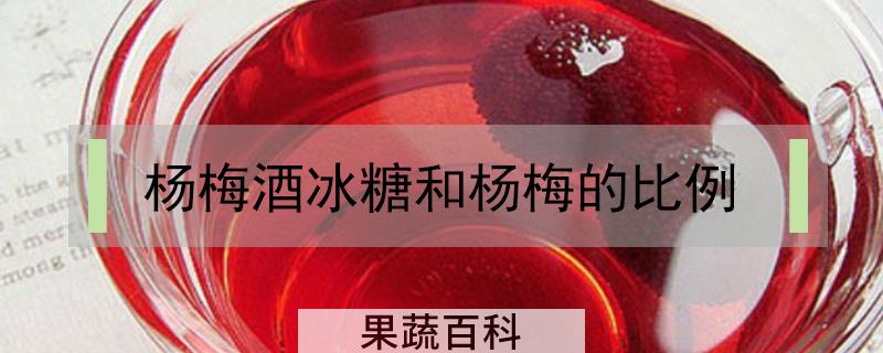 杨梅酒冰糖和杨梅的比例