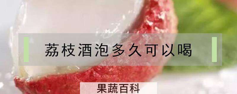 荔枝酒泡多久可以喝