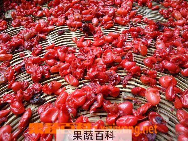 果蔬百科茱萸枣皮的功效与作用