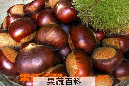 果蔬百科板栗的营养价值与功效