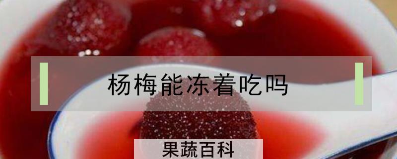 杨梅能冻着吃吗