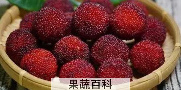 杨梅能冻着吃吗
