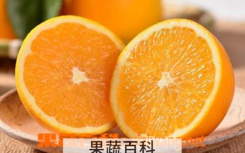 吃橙子的禁忌与注意事项是什么 吃橙子的禁忌与注意事项有哪些