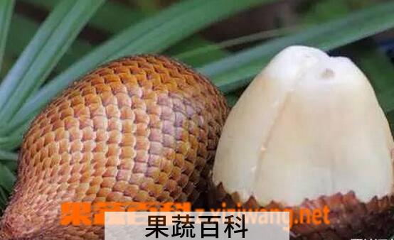 果蔬百科蛇皮果怎么吃