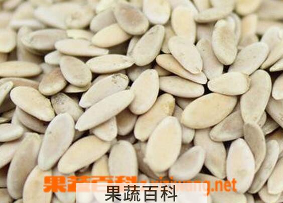 果蔬百科香瓜子的药用价值与功效